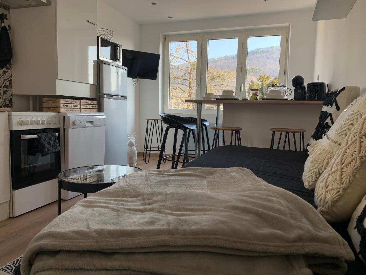 Le Cocon Apartment Guebwiller